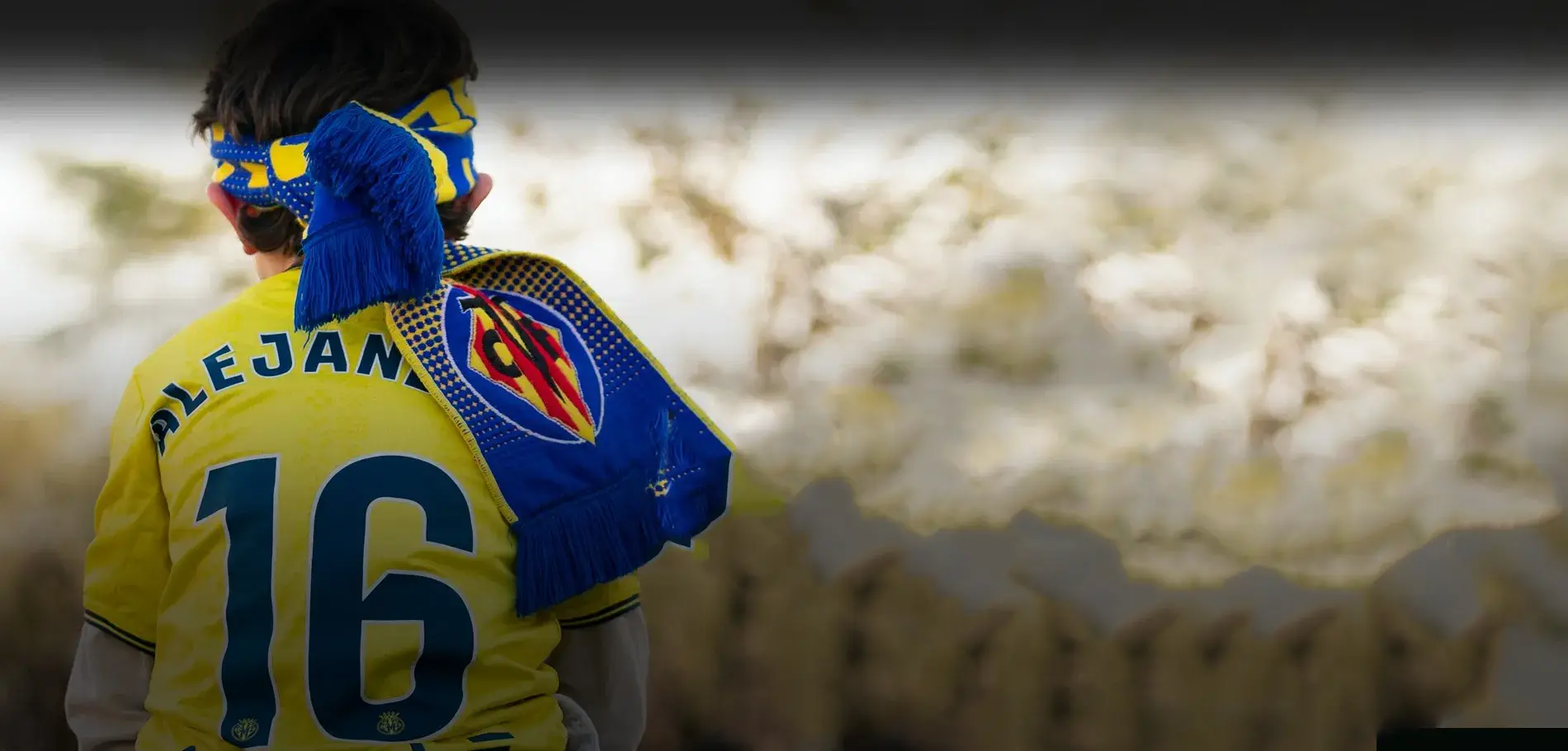 Vive tu equipo
